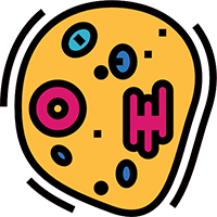 Es un potente antioxidante