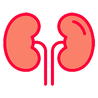 Previene infecciones urinarias