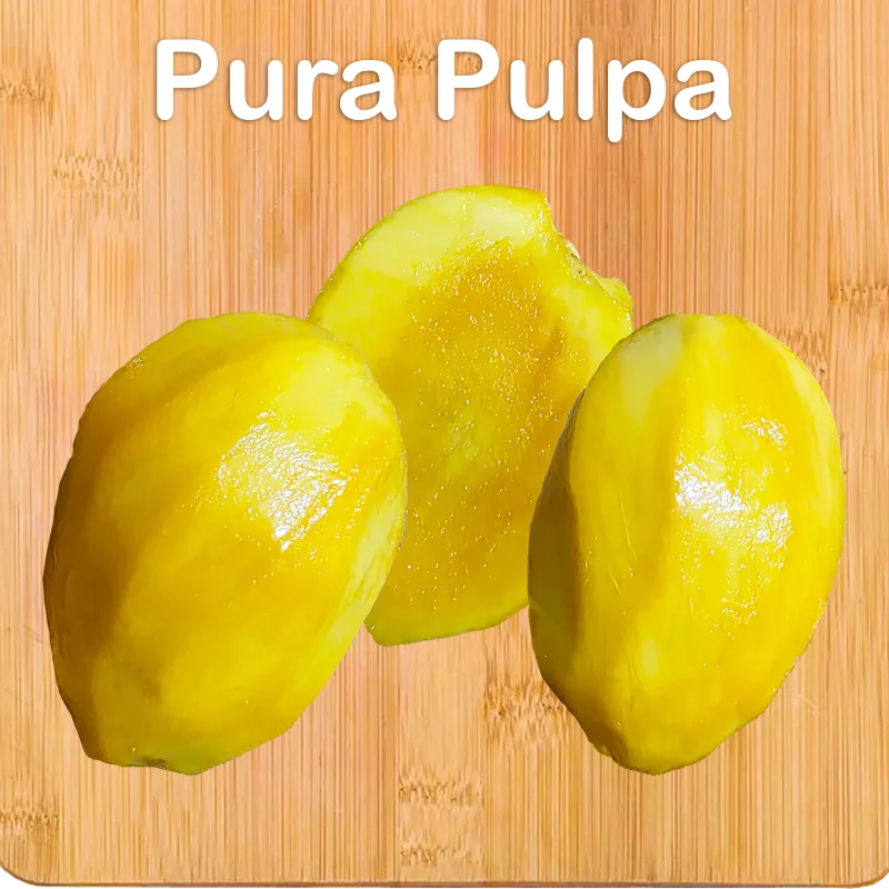Pulpa de Mango Congelada 100% Natural | Tropical y Deliciosa