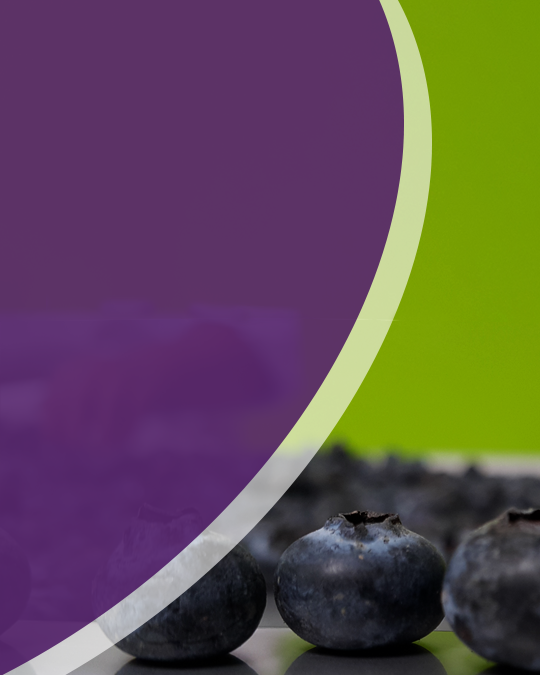 Optimiza costos con alta calidad de producto terminado