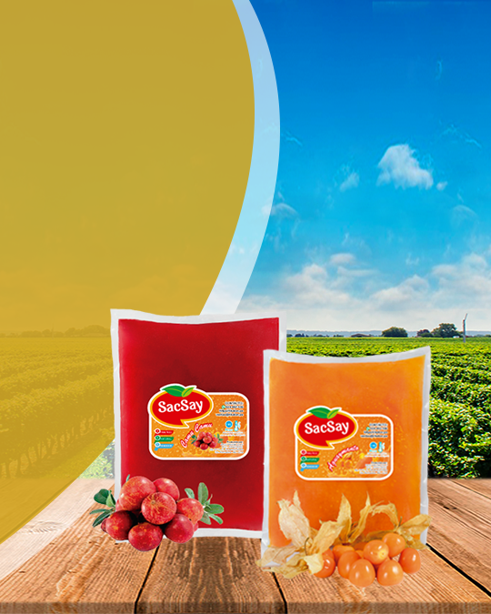 Soluciones saludables para agilizar procesos