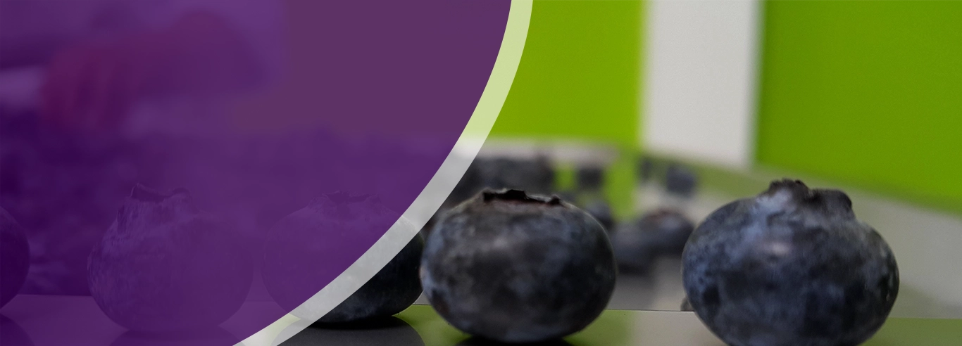 Optimiza costos con alta calidad de producto terminado